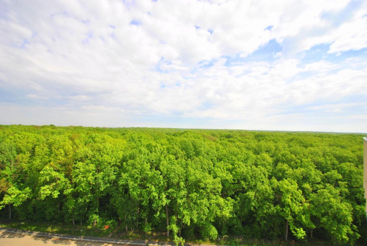 Foresthouse 1 Temeşvar Dış mekan fotoğraf