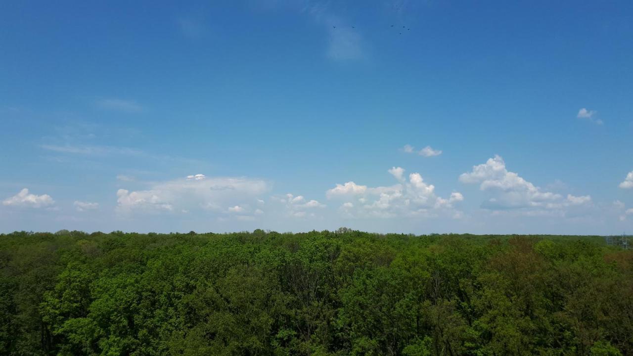 Foresthouse 1 Temeşvar Dış mekan fotoğraf