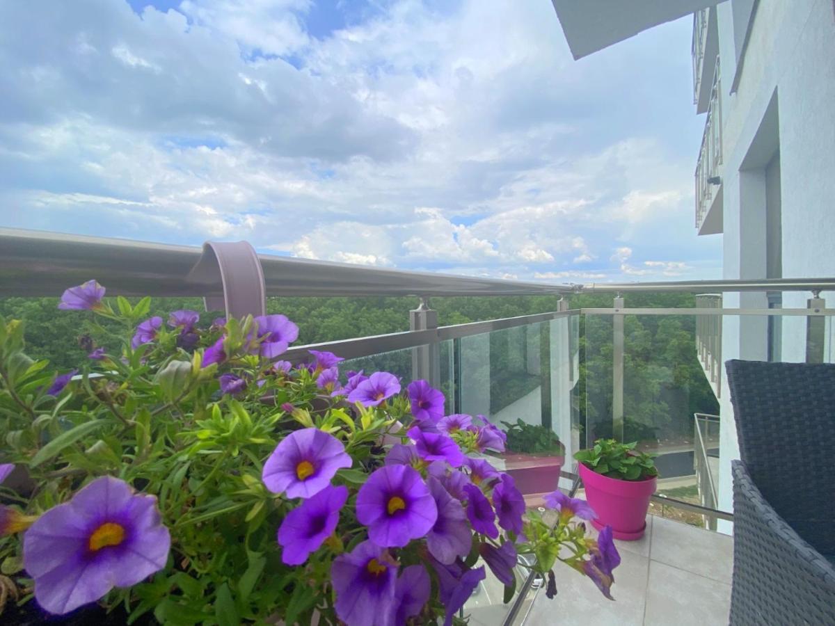 Foresthouse 1 Temeşvar Dış mekan fotoğraf