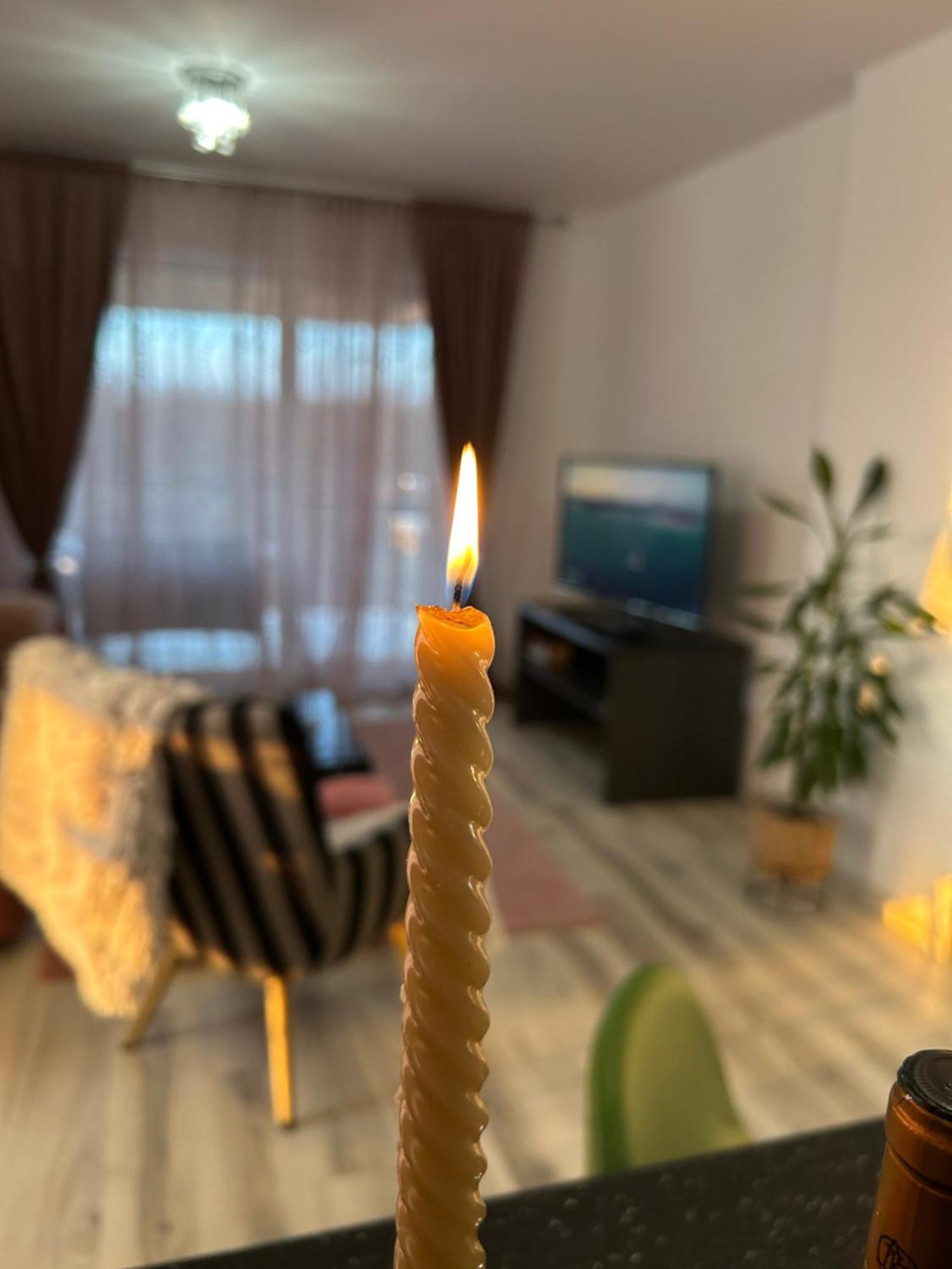 Foresthouse 1 Temeşvar Dış mekan fotoğraf